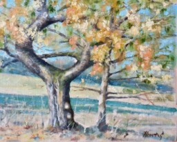 Stará třešeň,mladý dub 32x41